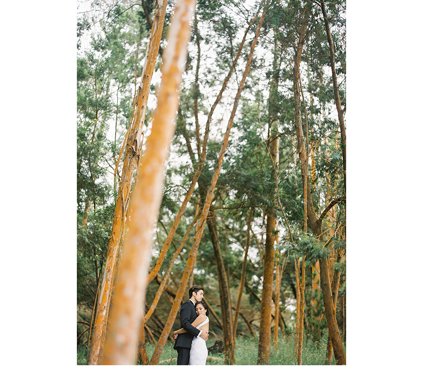 maui-landscape-wedding-photos-0007