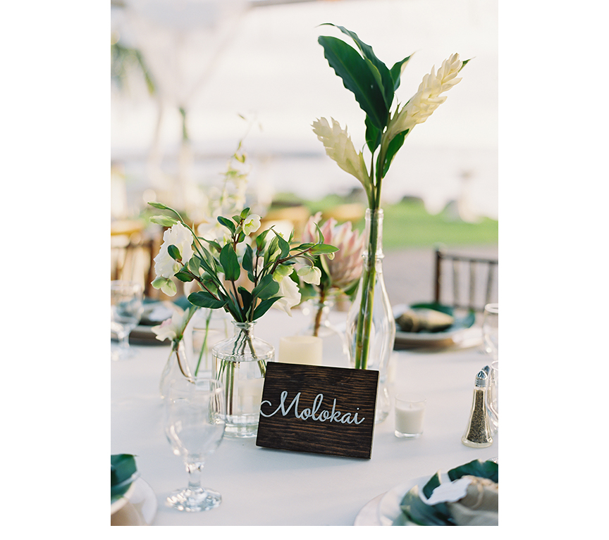 Olowalu-Maui-Wedding-Photos-119