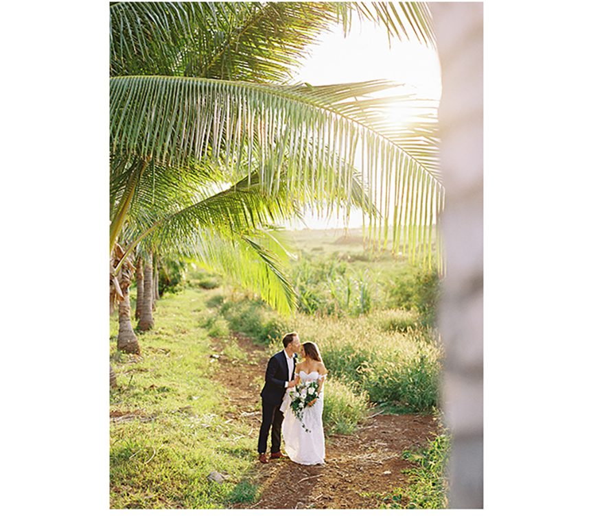 punakea palms lahaina