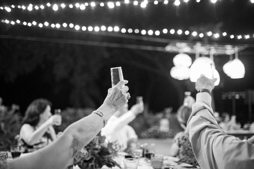 toasts-and-speeches-photos